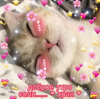 😛