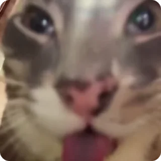🪩