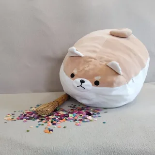 🧹