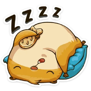 😴