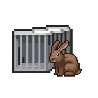 🐇