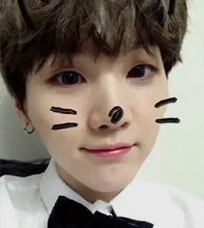 🐱