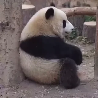 😵