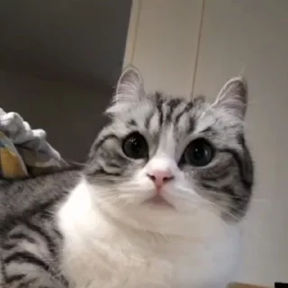 🥰