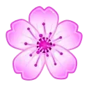 🌸