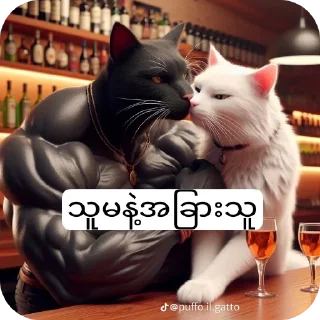 🐱