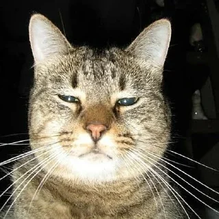 😕