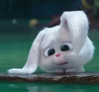 Rabbit @stickersb2b