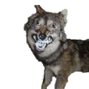 😁