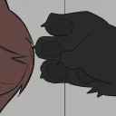 ✋️