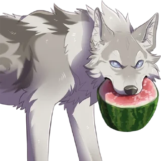 🍉