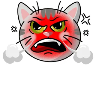 😡
