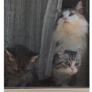 🥰