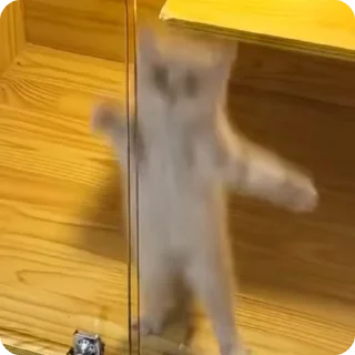 😍