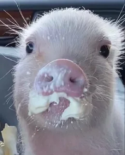 😋