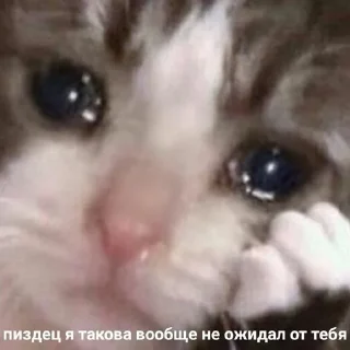 😭