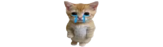 🐈