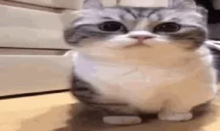 🤨