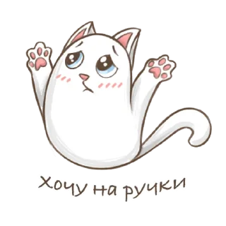 🐱