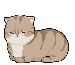 🐱