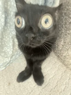 😐