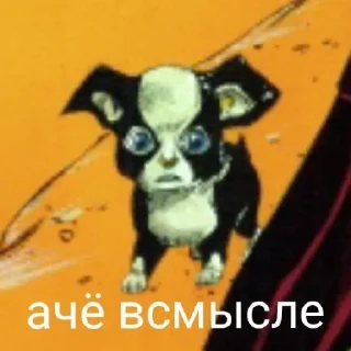 🐶