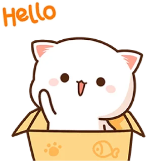 👋