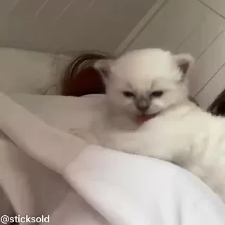 ❤️