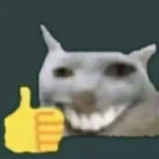 😸