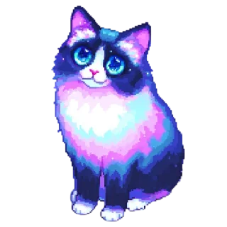 🐱