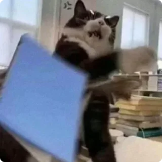 🤬