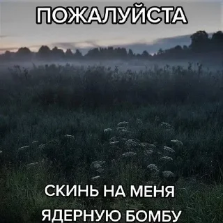 🧂