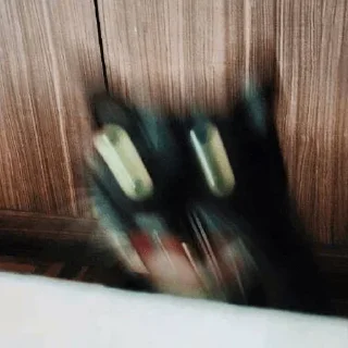 👀