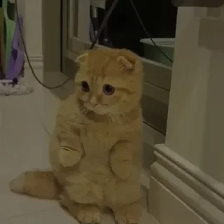 💗