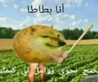 🤥