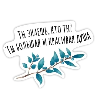 🍃
