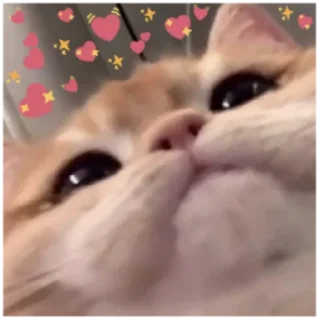 😎