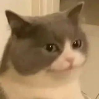 😕