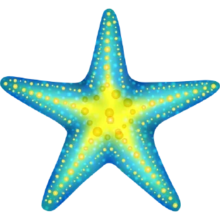 ⭐️