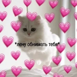 🫂