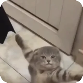 😏