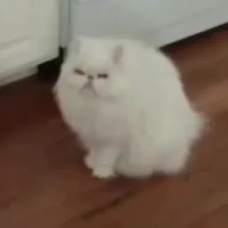 😳