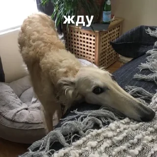 ⏳