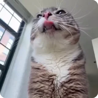 🙎‍♂️