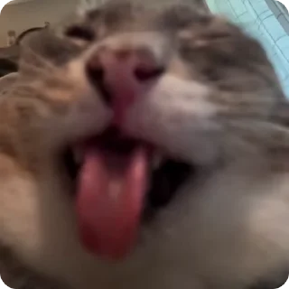 👹