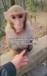 👋