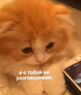 😢