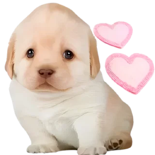 🥰