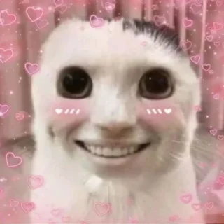 🥺