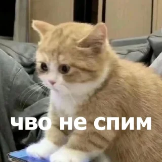 🤨